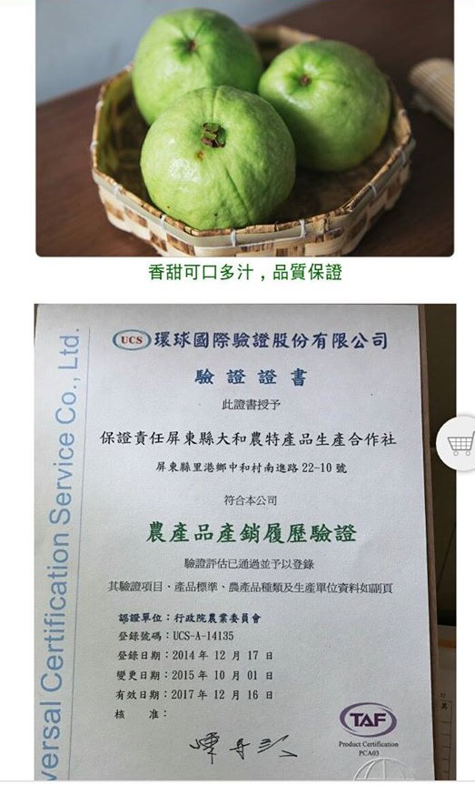 博士兒潛能科技有限公司