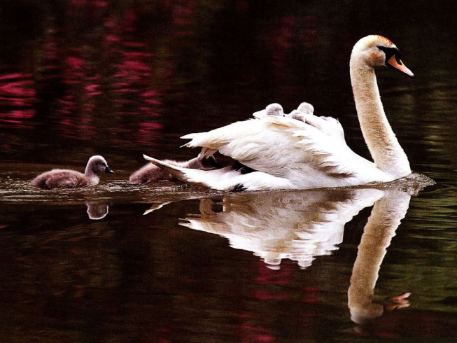 顧氏刺繡永康店